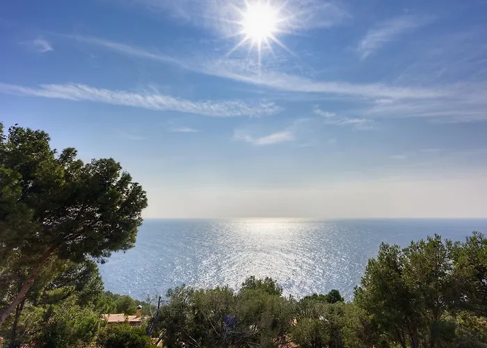 Angela * タマリウ